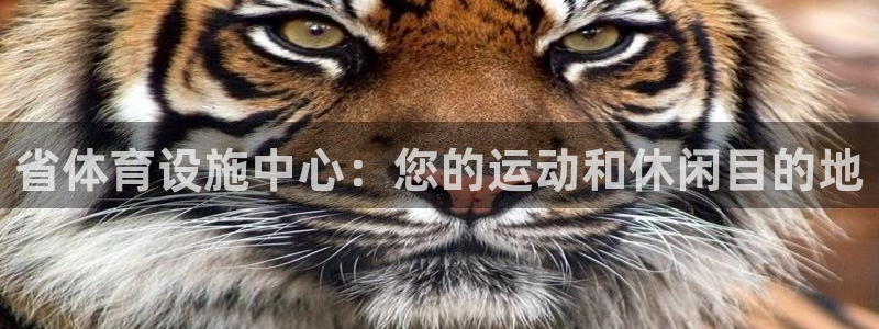 意昂3五金厂：省体育设施中心：您的运动和休闲目的地