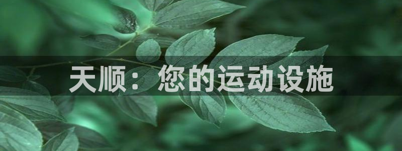 意昂3官网：天顺：您的运动设施