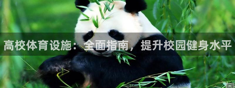 意昂体育3平台注册要钱吗是真的吗：高校体育设施：全面