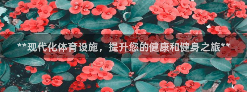 意昂体育3招商：**现代化体育设施，提升您的健康和健