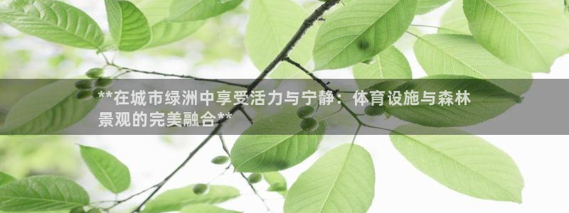 意昂3集团官网网址：**在城市绿洲中享受活力与宁静：