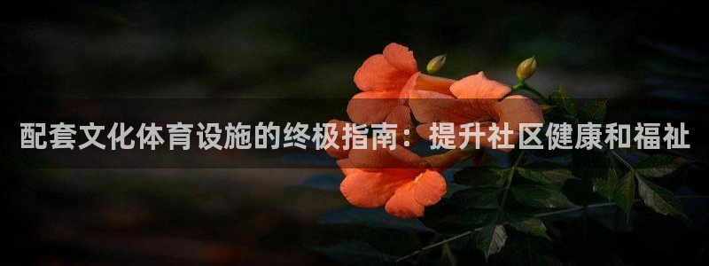 意昂3官网：配套文化体育设施的终极指南：提升社区健康