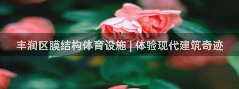 意昂体育3官方客服电话：丰润区膜结构体育设施 | 体