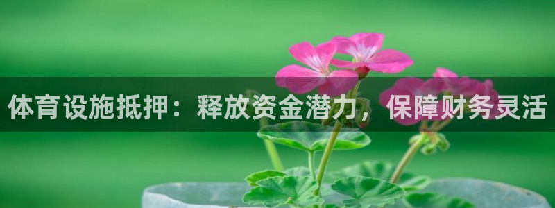 意昂体育3招商