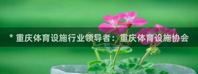 意昂3娱乐平台：* 重庆体育设施行业领导者：重庆体育
