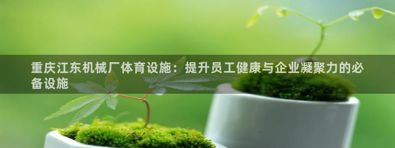 意昂3集团官网网址：重庆江东机械厂体育设施：提升员工