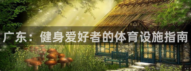 意昂3新能源：广东：健身爱好者的体育设施指南