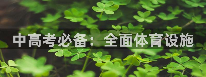 意昂3集团E.ON：中高考必备：全面体育设施