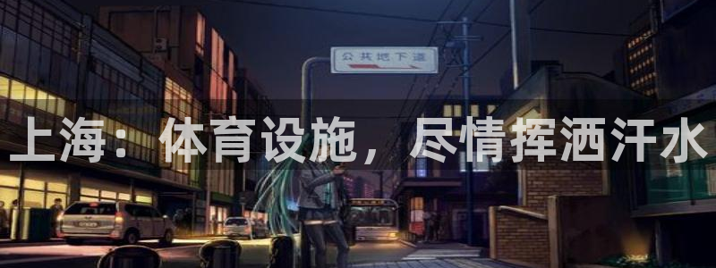 意昂3集团简介：上海：体育设施，尽情挥洒汗水