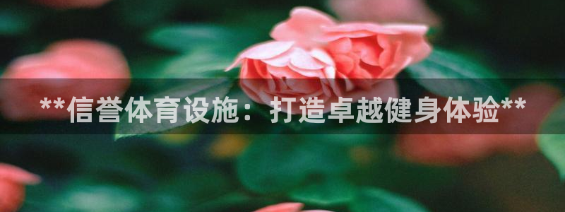 意昂3娱乐首页网站大全：**信誉体育设施：打造卓越健