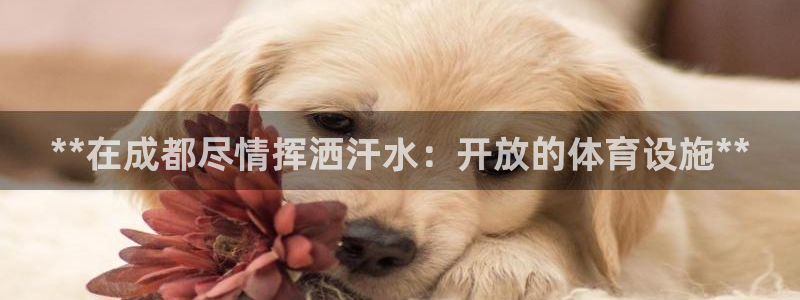 意昂体育3平台注册要钱吗：**在成都尽情挥洒汗水：开