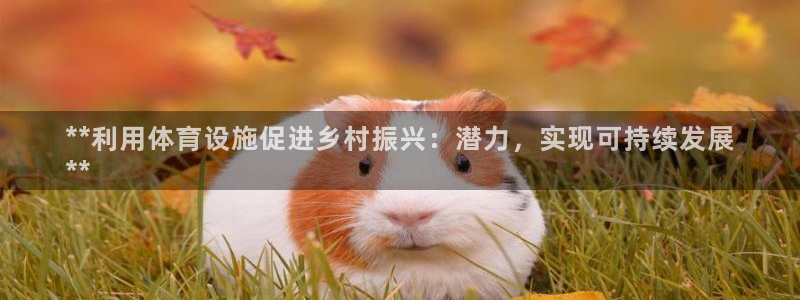 意昂3官网：**利用体育设施促进乡村振兴：潜力，实现