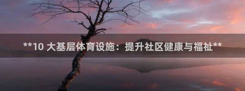 意昂3集团E.ON：**10 大基层体育设施：提升社