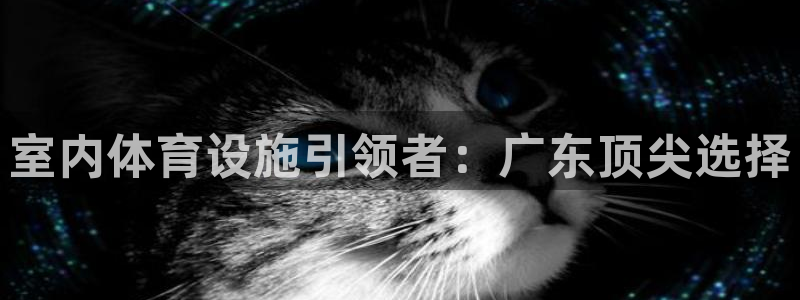 意昂体育3平台注册要钱吗：室内体育设施引领者：广东顶