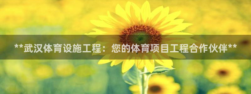 意昂体育3招商电话是多少啊：**武汉体育设施工程：您