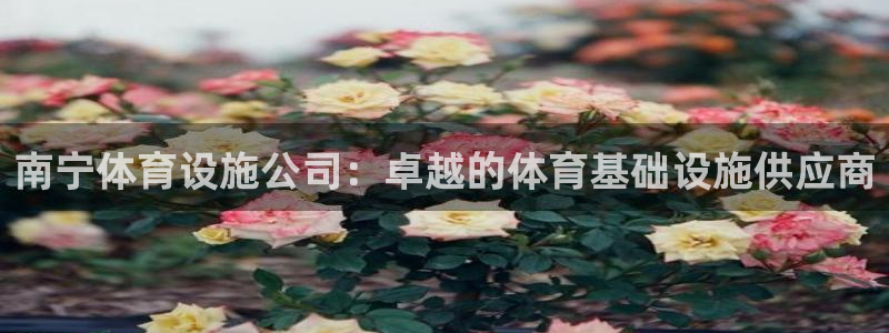 意昂3娱乐：南宁体育设施公司：卓越的体育基础设施供应