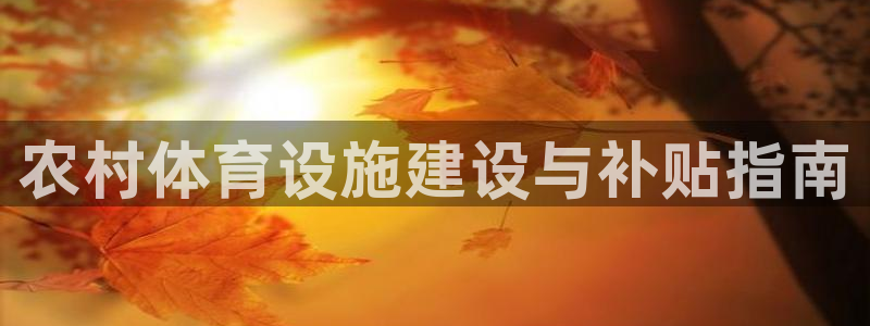 意昂体育3招商电话地址查询：农村体育设施建设与补贴指