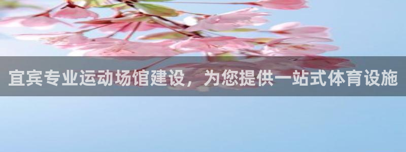 意昂3新能源：宜宾专业运动场馆建设，为您提供一站式体