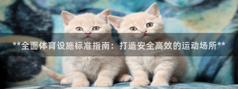 意昂体育3招商电话地址查询：**全面体育设施标准指南