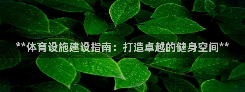 意昂平台体育：**体育设施建设指南：打造卓越的健身空