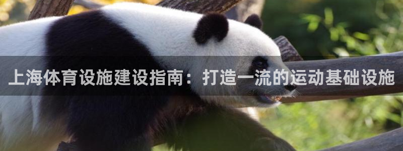 意昂3娱乐下载：上海体育设施建设指南：打造一流的运动