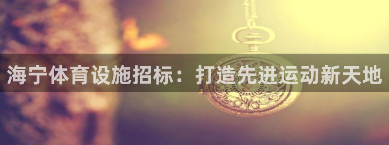 意昂3科技：海宁体育设施招标：打造先进运动新天地
