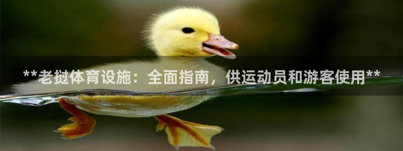 意昂3集团：**老挝体育设施：全面指南，供运动员和游