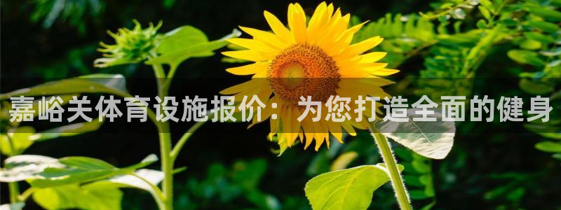 意昂3官网：嘉峪关体育设施报价：为您打造全面的健身