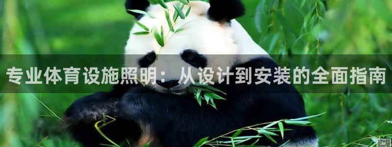 注册意昂3：专业体育设施照明：从设计到安装的全面指南