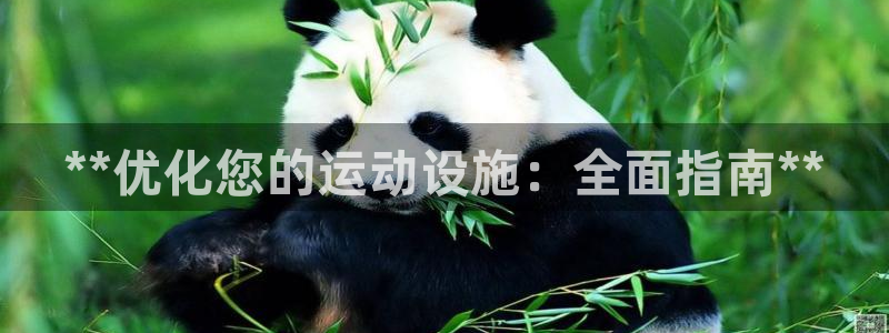 德国意昂3集团：**优化您的运动设施：全面指南**