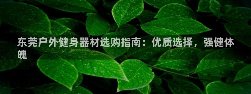 意昂体育3招商电话地址是多少：东莞户外健身器材选购指