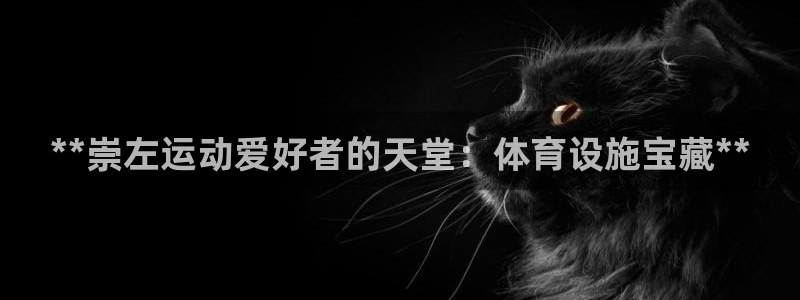意昂3集团：**崇左运动爱好者的天堂：体育设施宝藏*