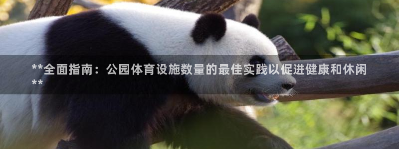 意昂3集团官网首页：**全面指南：公园体育设施数量的最佳实践