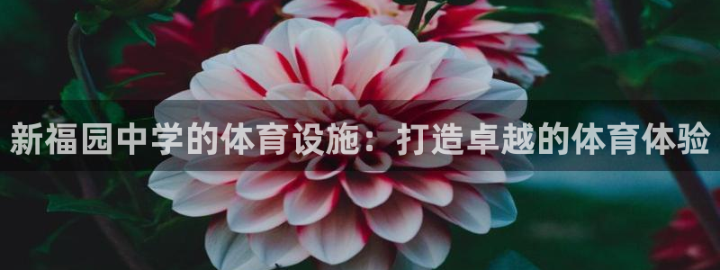 意昂体育3招商：新福园中学的体育设施：打造卓越的体育