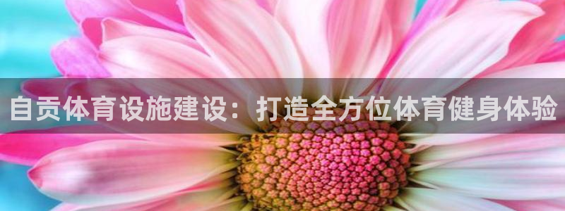 意昂集团官网：自贡体育设施建设：打造全方位体育健身体验
