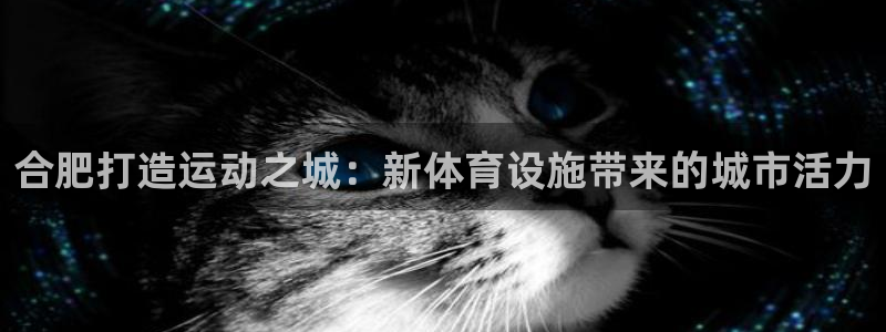 意昂3娱乐首页网站大全：合肥打造运动之城：新体育设施