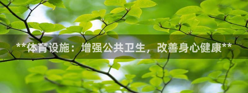 意昂3集团logo：**体育设施：增强公共卫生，改善身心健康
