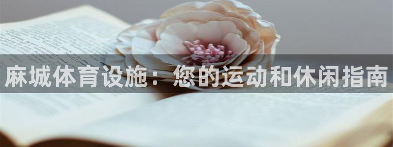 意昂体育3娱乐：麻城体育设施：您的运动和休闲指南