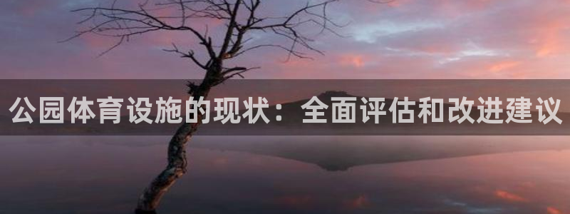 意昂3代理：公园体育设施的现状：全面评估和改进建议