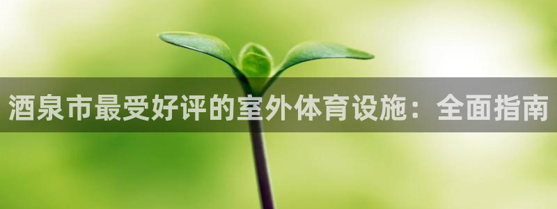 意昂体育3是干嘛的公司：酒泉市最受好评的室外体育设施