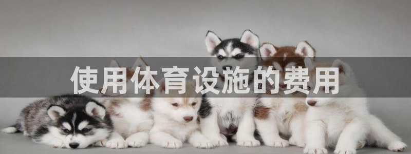 意昂3娱乐是那个系列的台子：使用体育设施的费用