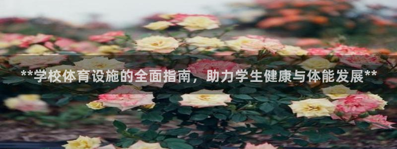 海南意昂体育3发展怎么样：**学校体育设施的全面指南，助力学