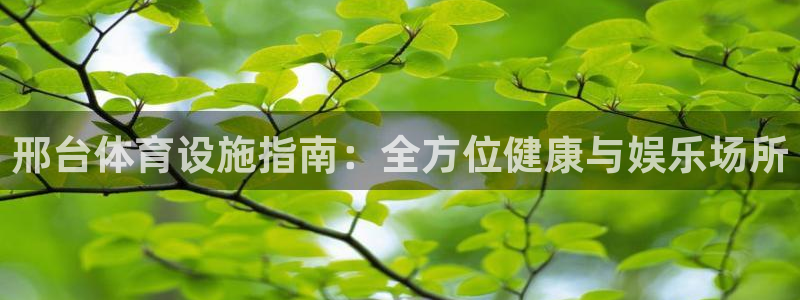 意昂3科技：邢台体育设施指南：全方位健康与娱乐场所
