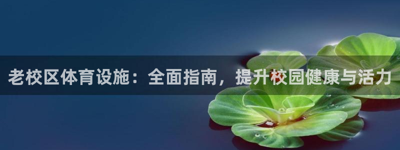 意昂3集团：老校区体育设施：全面指南，提升校园健康与活力