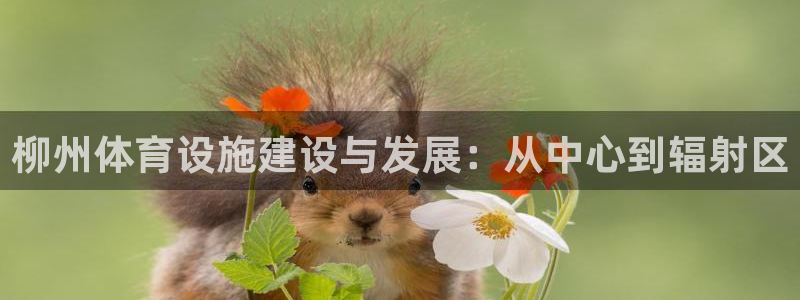 意昂体育3招商电话号码是多少啊