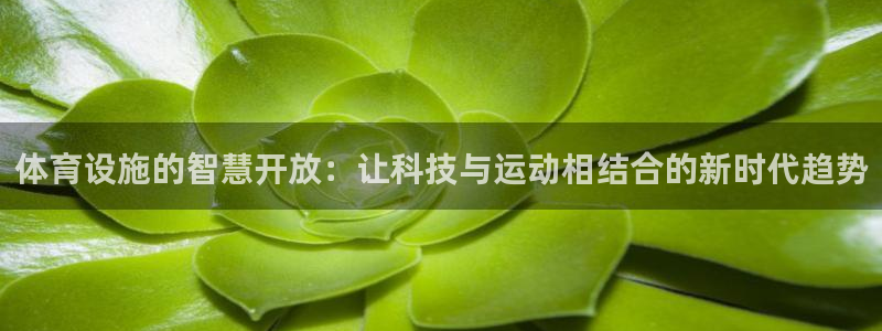 意昂3神州