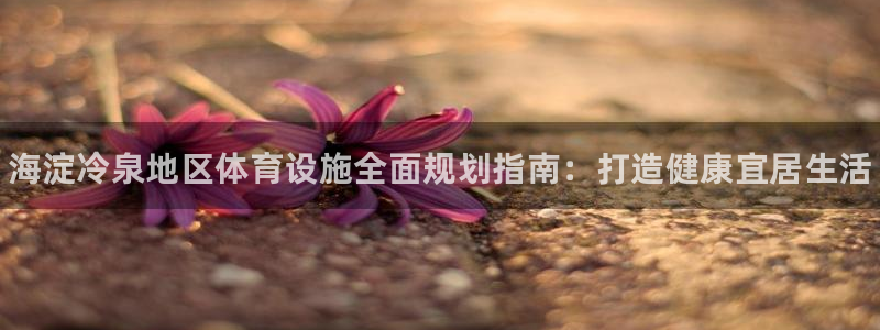 意昂3娱乐网站：海淀冷泉地区体育设施全面规划指南：打