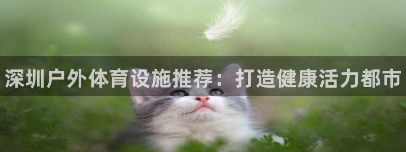 意昂体育3招商电话地址查询：深圳户外体育设施推荐：打