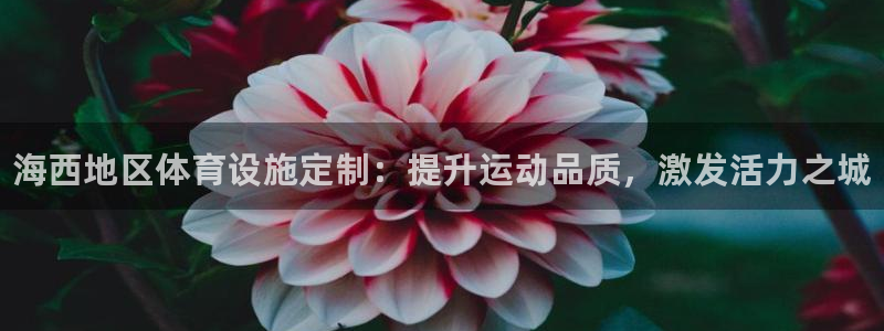 意昂3集团官网网址：海西地区体育设施定制：提升运动品