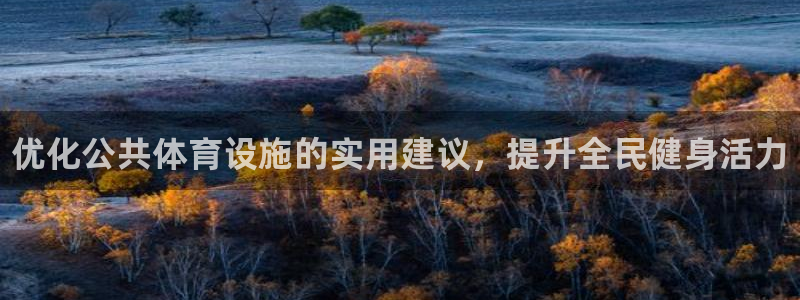 意昂3集团E.ON：优化公共体育设施的实用建议，提升